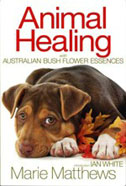 Animal Healing with Australian Bush Flower Essences